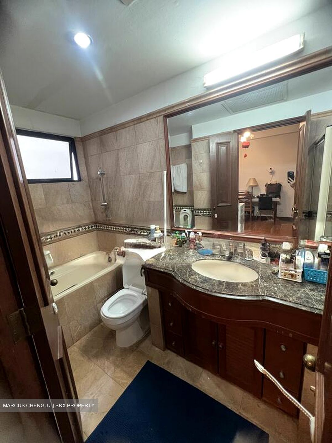 Dover Parkview (D5), Condominium #502526751